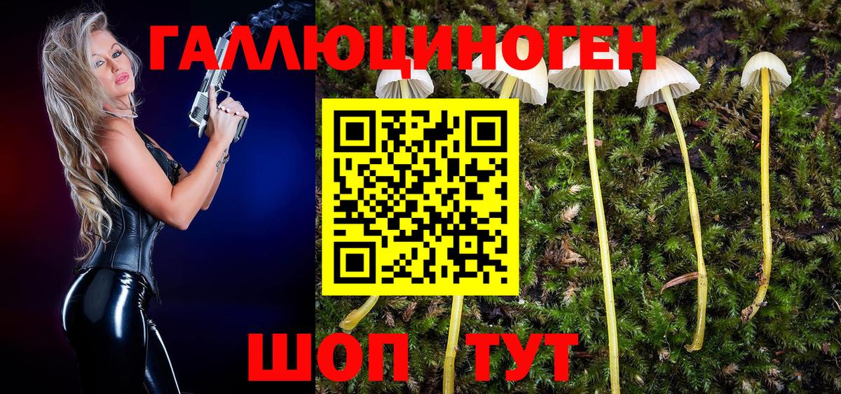 Кулебаки  Галлюциногенные грибы ЛСД  Вход с VPN 